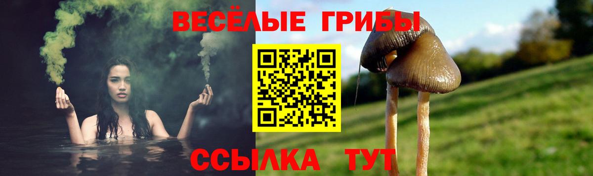 Псилоцибиновые грибы мицелий  Казань 