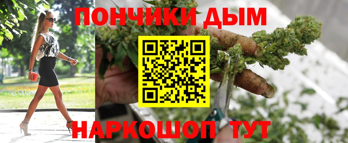 Бошки Шишки марихуана  Бошки Шишки семена  Вход с VPN  Канабис Amnesia  Казань 